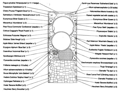 Planting Plan